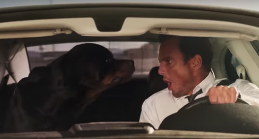 Show Dogs movie