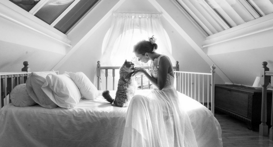 wedding photo with cat