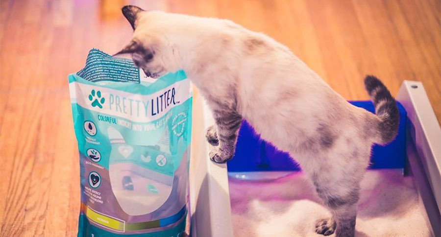 PrettyLitter