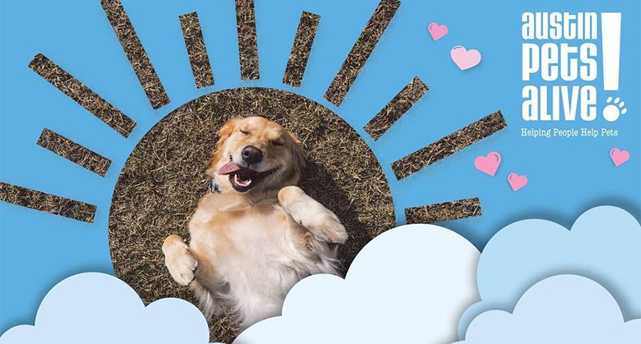 Sweet Barks
