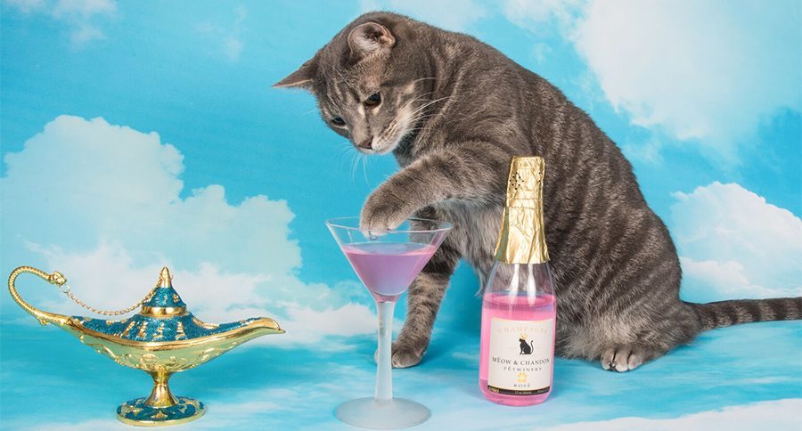 Pet Winery