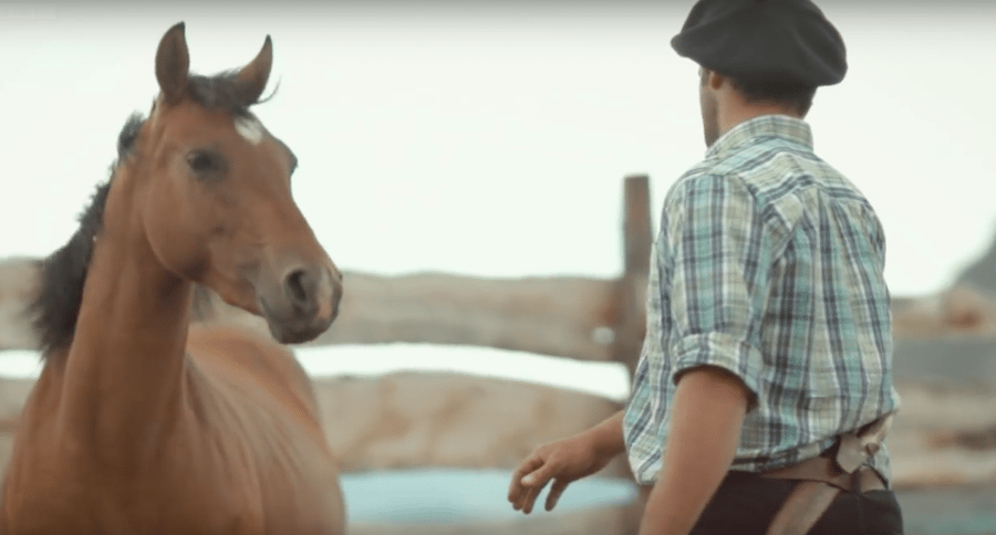 gaucho with horse