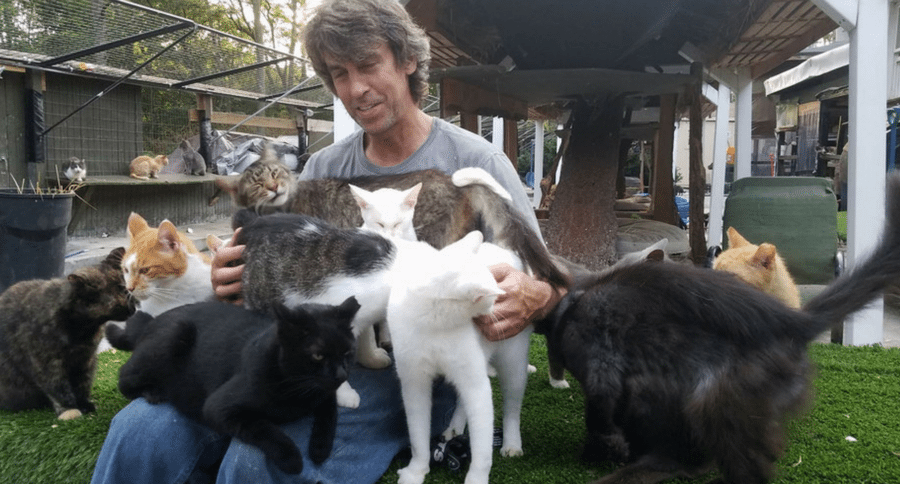 cat sanctuary