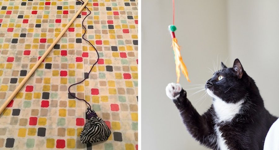 DIY catnip toy