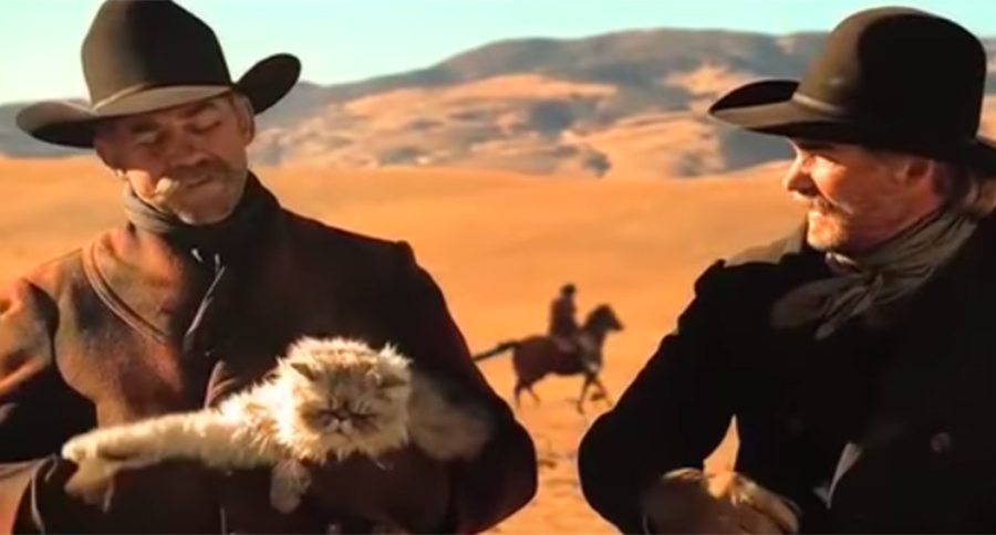 Herding Cats