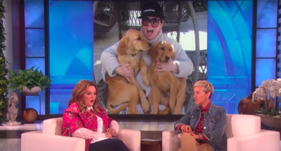 melissa mccarthy on ellen