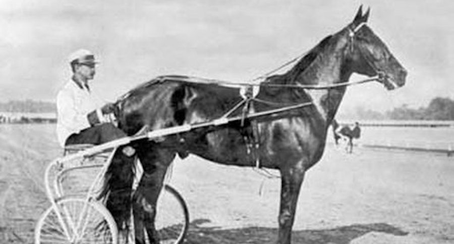Dan Patch