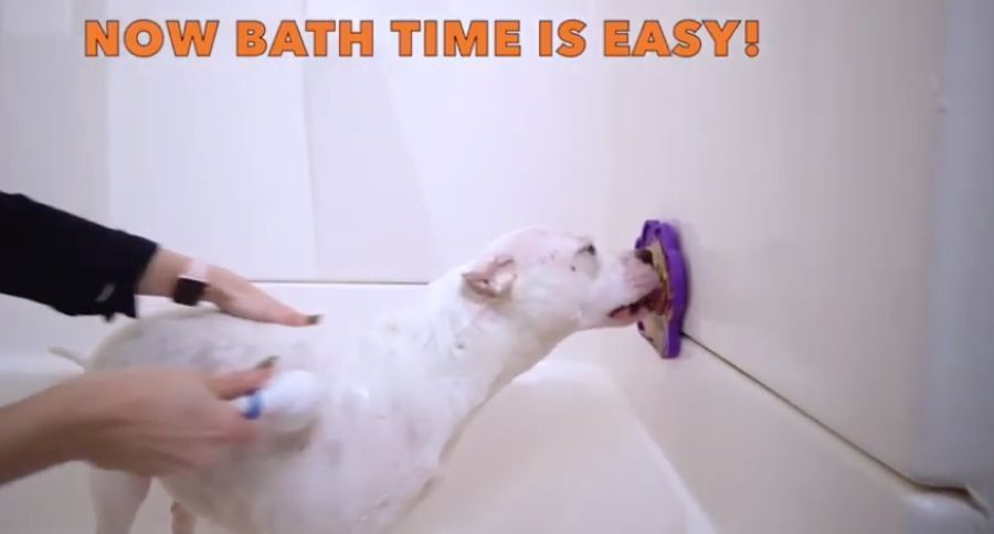 Bath Buddy