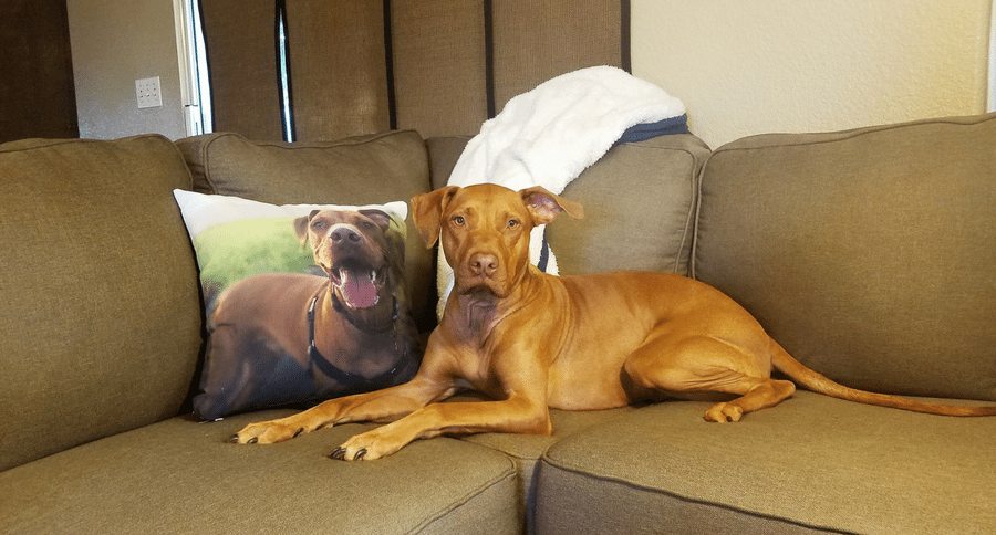 CanvasPop photo pillow