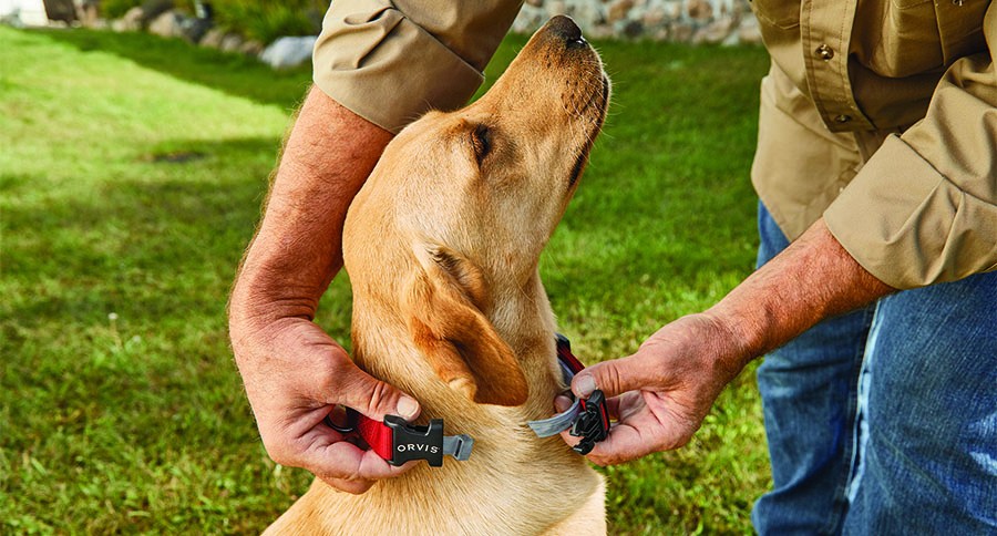 orvis flea and tick collar