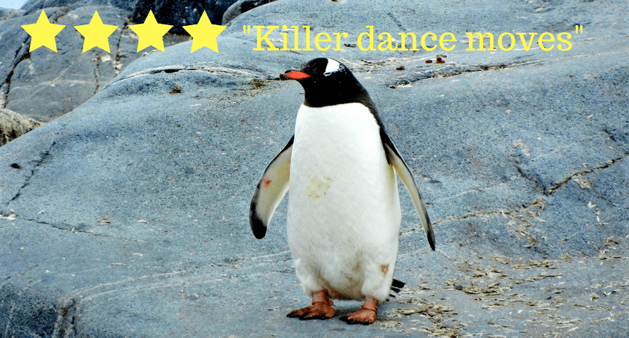 penguin