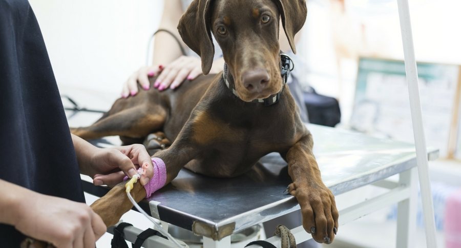 Pancreatitis