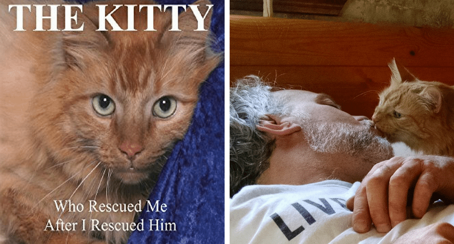 THE KITTY Who Rescued Me After I Rescued Him