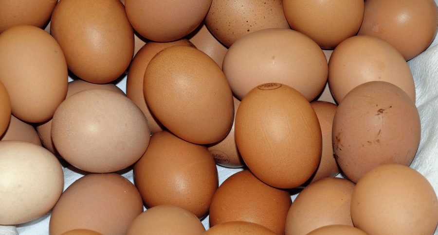 brown eggs