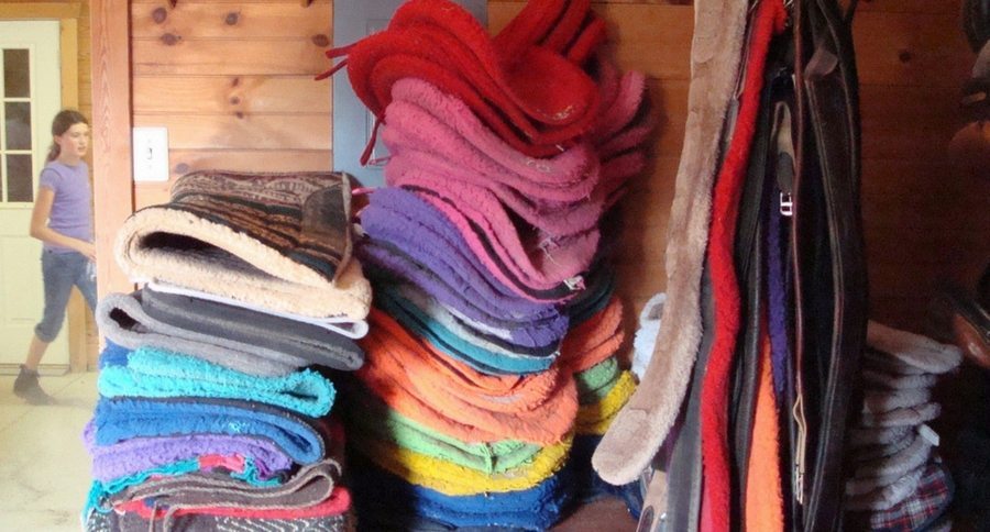 saddle pads