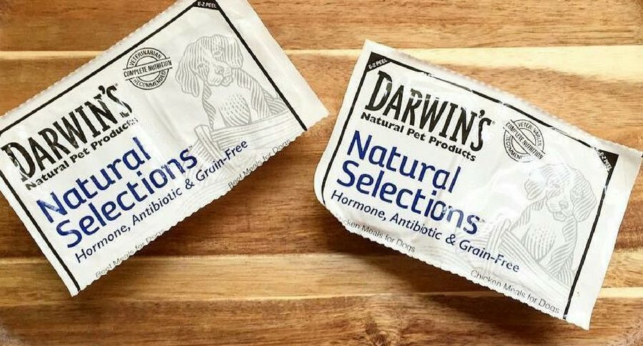 raw pet food recall
