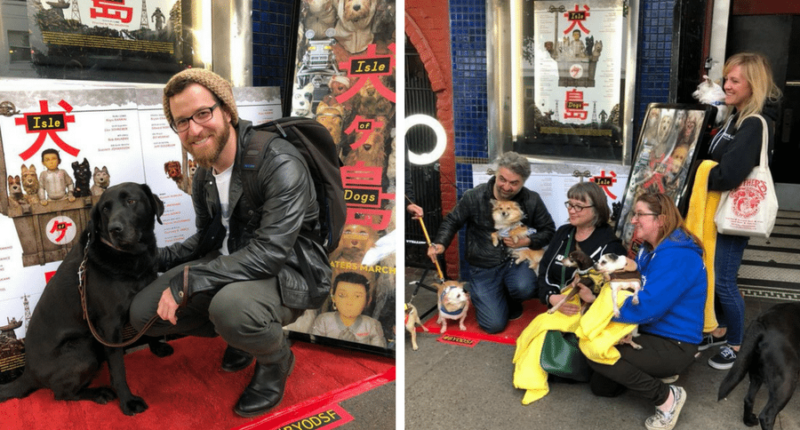 dog-friendly movie premiere