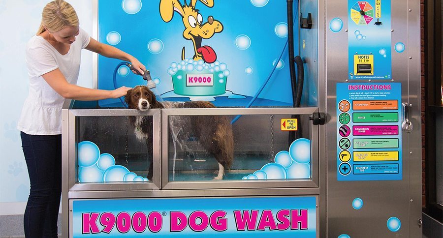 dog wash