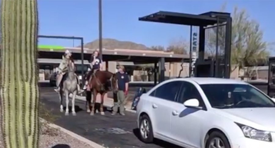 horse in drive thru