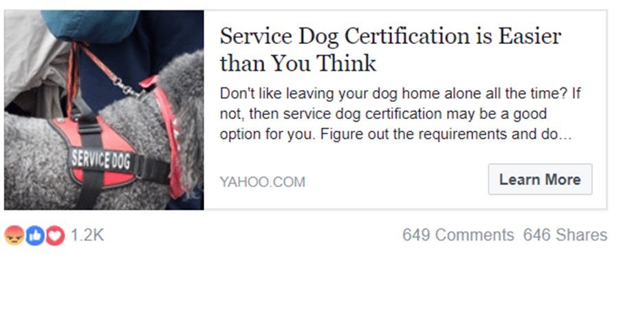 Yahoo service dog