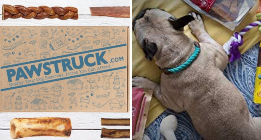 Dog Subscription Box