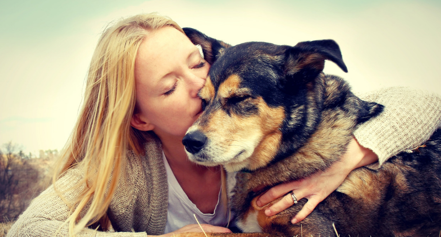 Dogs Hugged