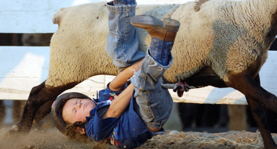 Mutton Busting Pets