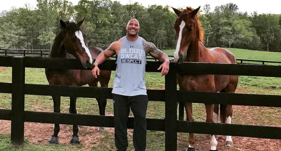 Hunks And Horses Dwayne The Rock Johnson