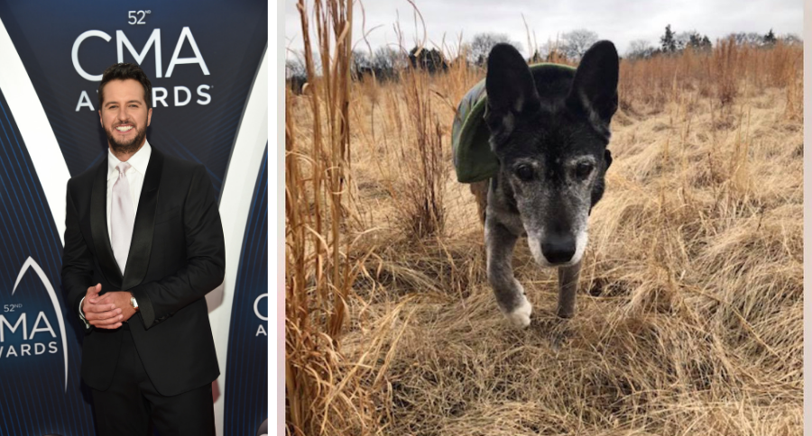 Luke Bryan Adopts Senior Dog Poochie