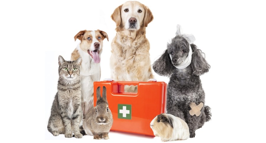 First Aid Kit