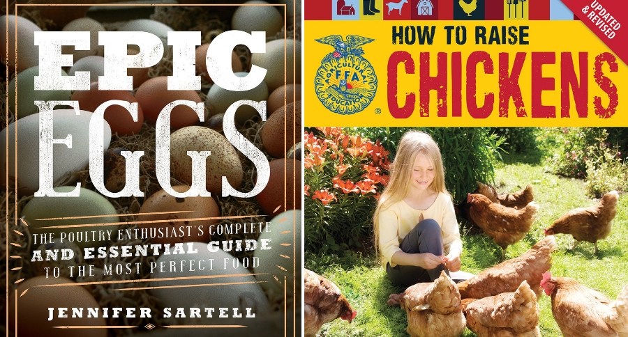 Chicken Books