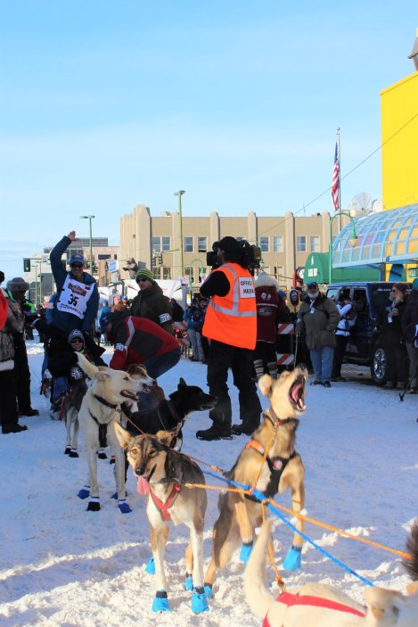 Iditarod 2019