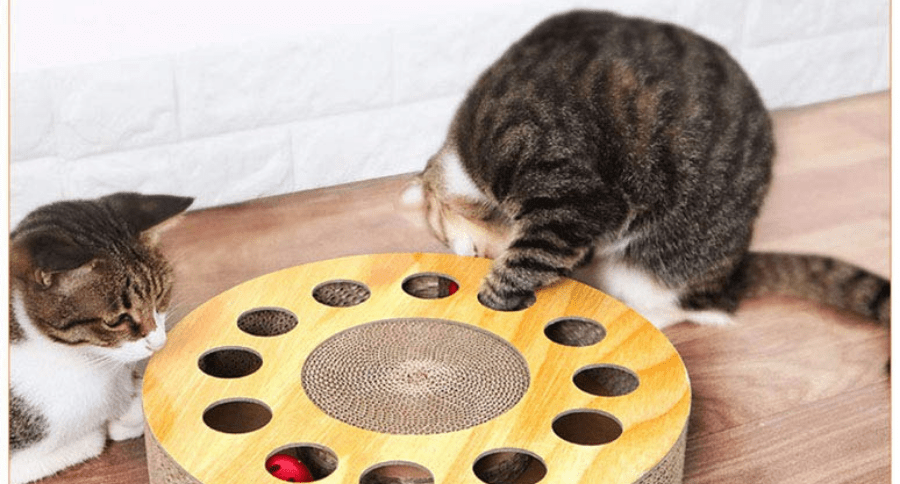 Best Cat Games 10 Products