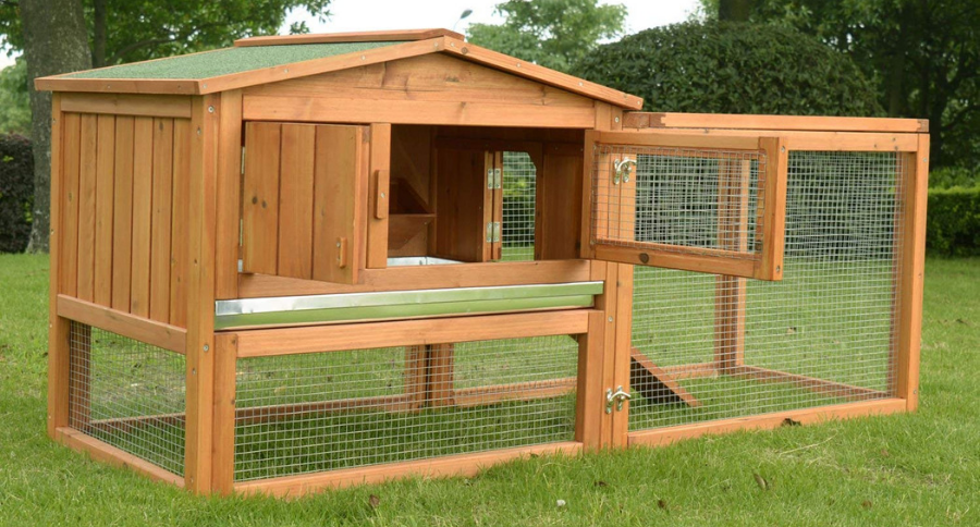 Best Guinea Pig Houses
