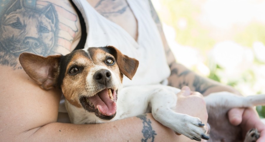 Pet Memorial Tattoos