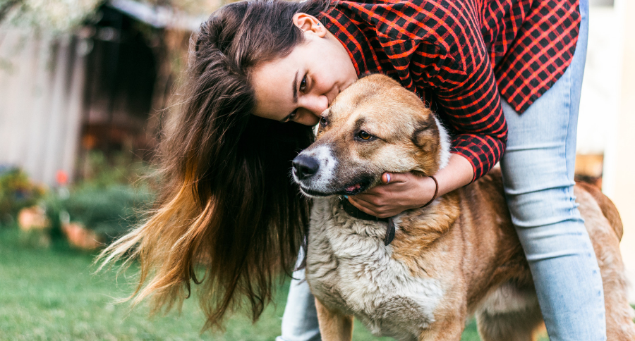 Can Dogs Understand Humans