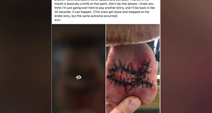 Equine Vet PSA Tying
