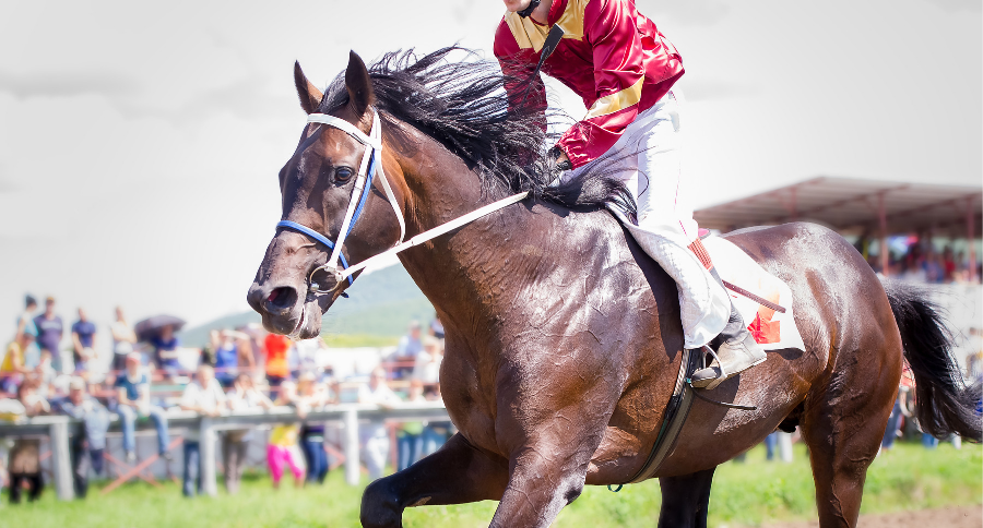 Kentucky Derby Contenders 2019
