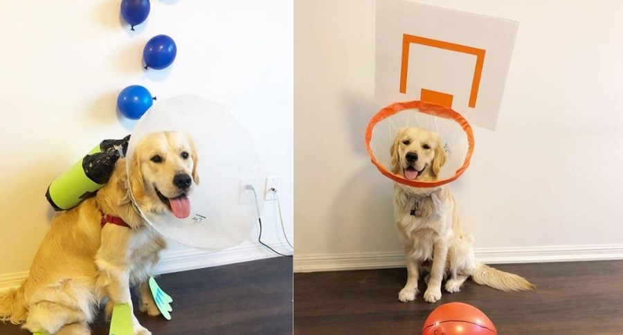 Cone Costumes