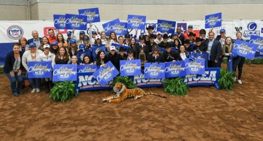 Auburn Tigers