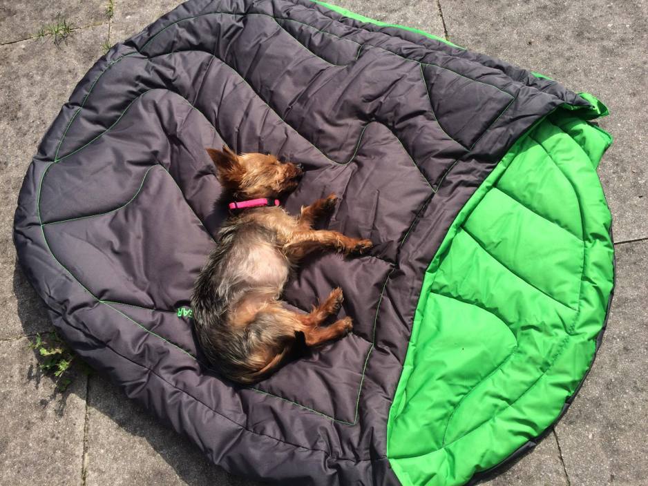 Ruffwear