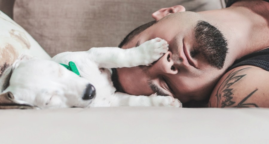 Human-Animal Bond