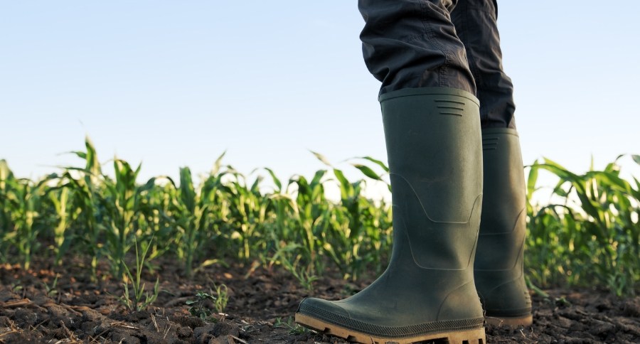 Farmers