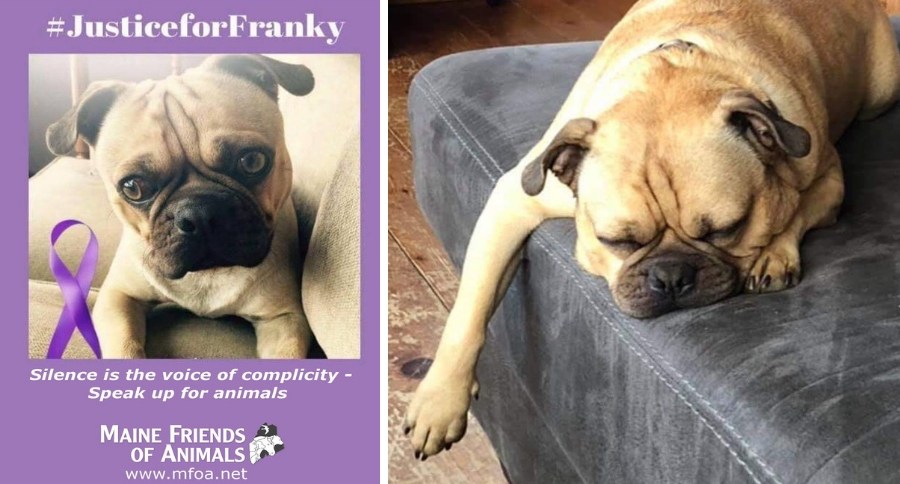Franky's Law