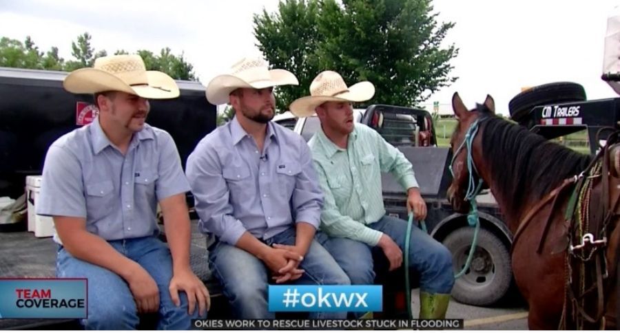 Cowboys Saving Livestock