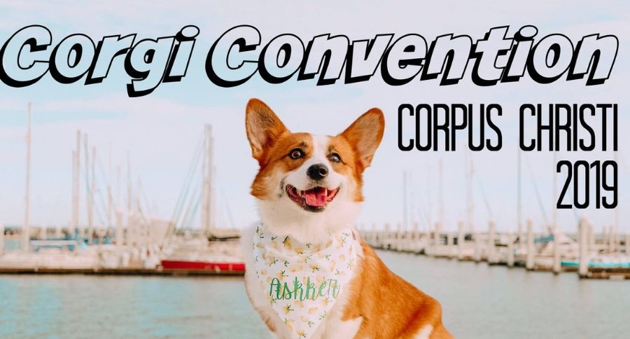 Corgo Convention