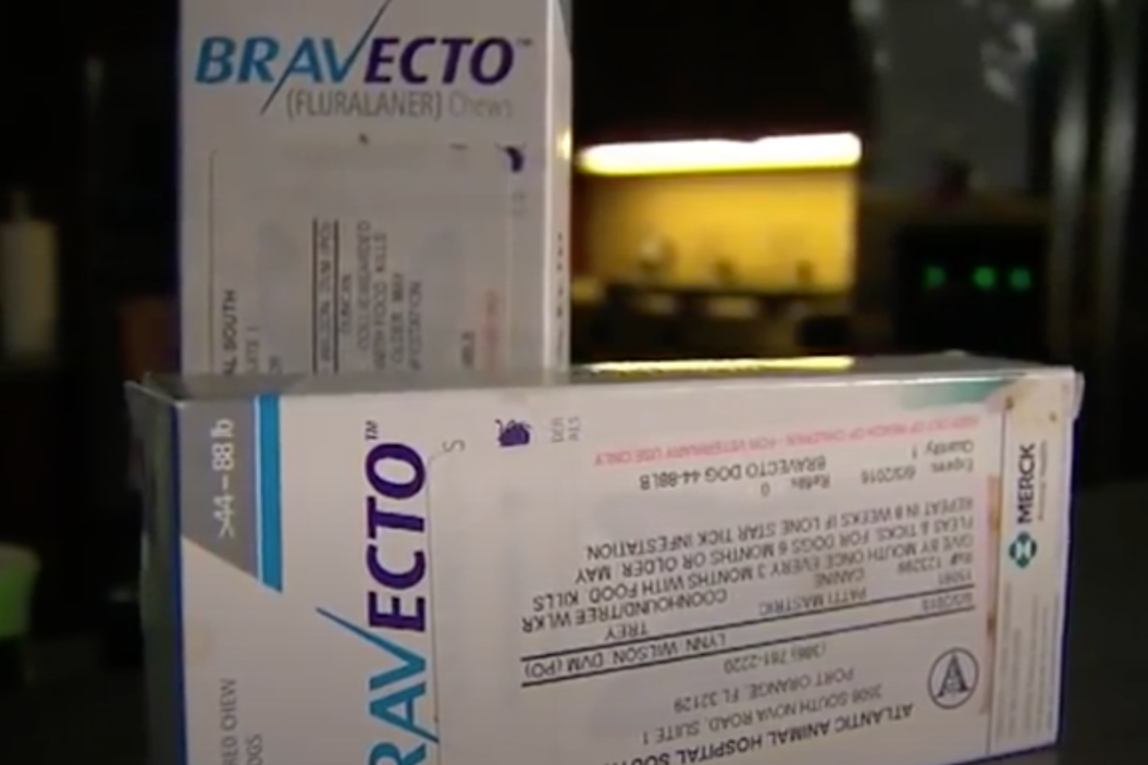 Bravecto side effects
