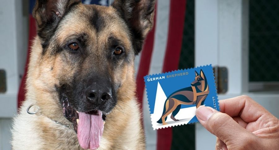 US Military Working Dog Stamps