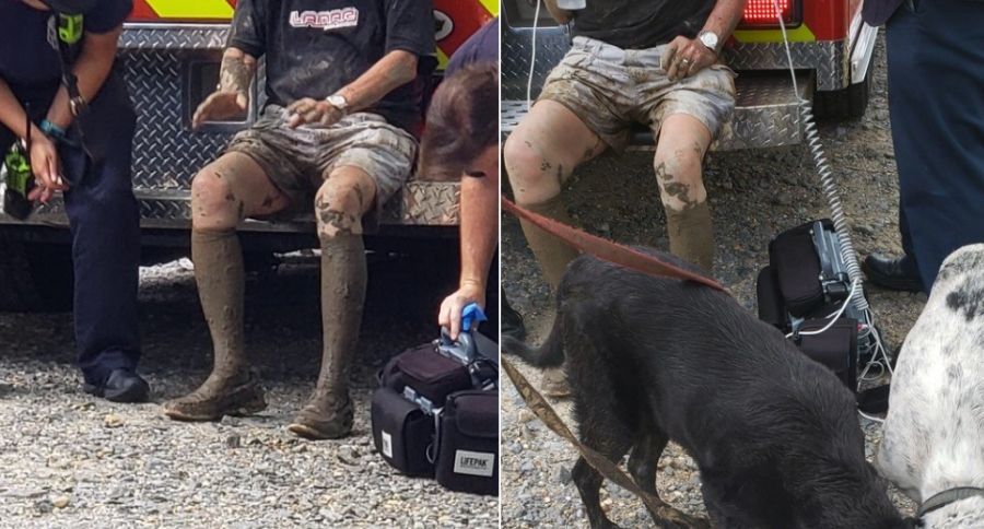 Dogs Save Man In Mud