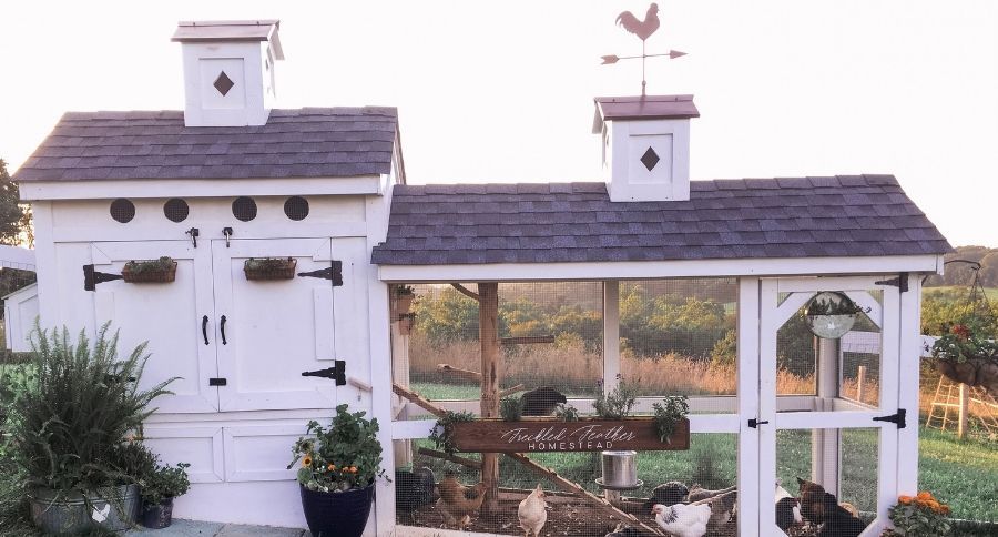 Chicken Coop